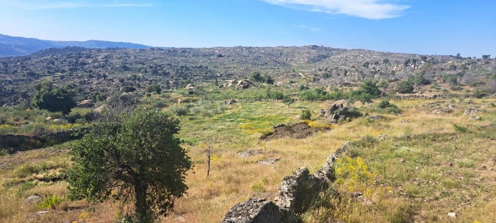 Terreno para Venda em Adeganha e Cardanha Foto 12