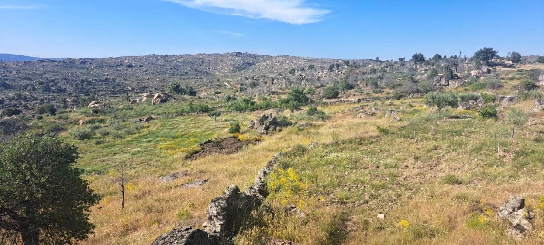Terreno para Venda em Adeganha e Cardanha Foto 8