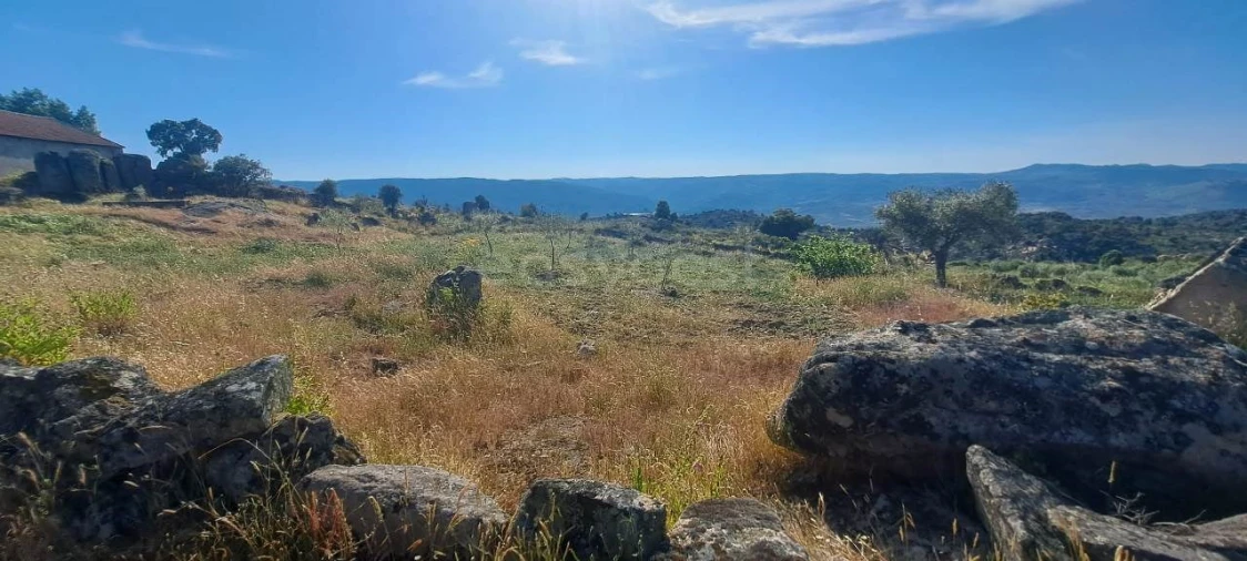 Terreno para Venda em Adeganha e Cardanha Foto 10