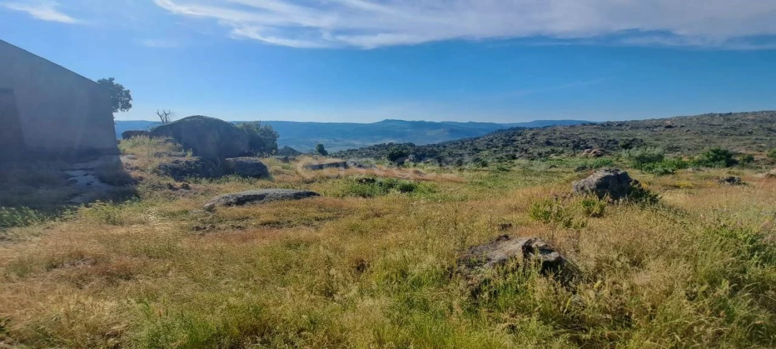 Terreno para Venda em Adeganha e Cardanha Foto 11
