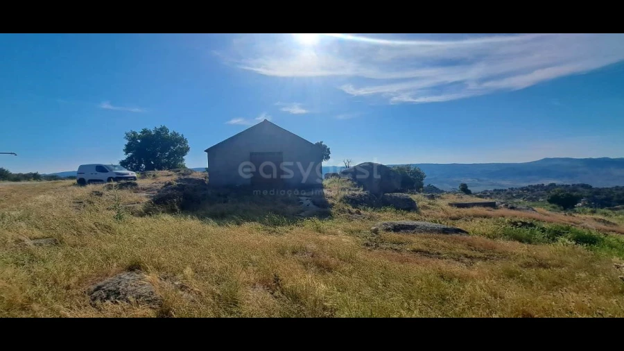 Terreno para Venda em Adeganha e Cardanha