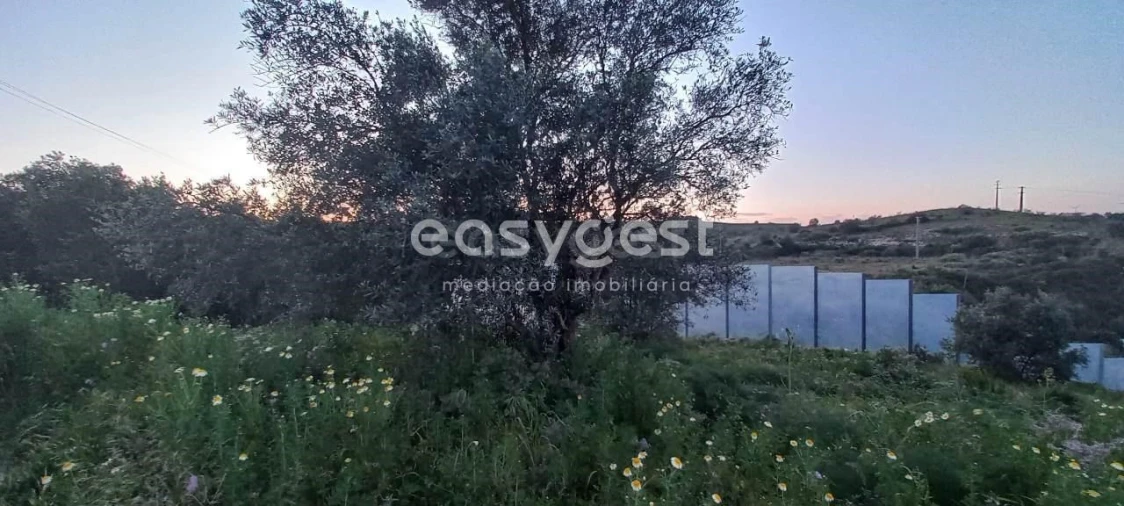 Terreno para Venda em Santa Iria de Azoia, São João da Talha e Bobadela Foto 26