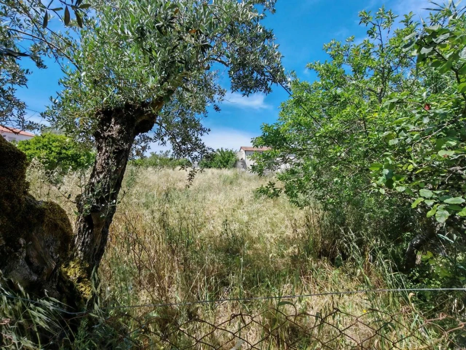 Terreno para Venda em Paialvo Foto 1