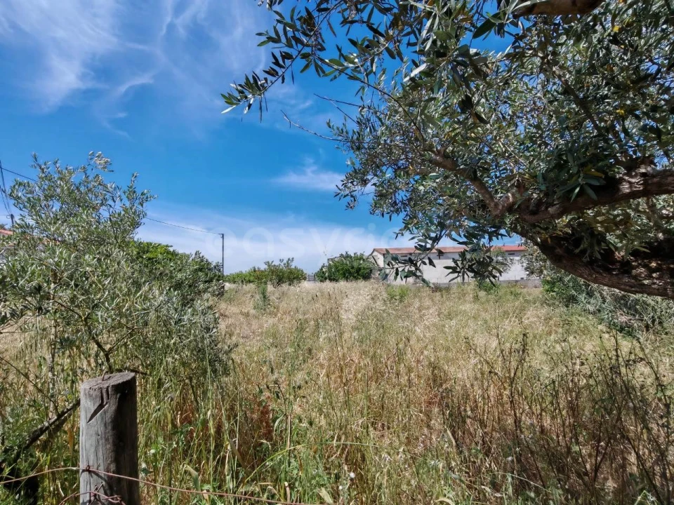 Terreno para Venda em Paialvo Foto 3