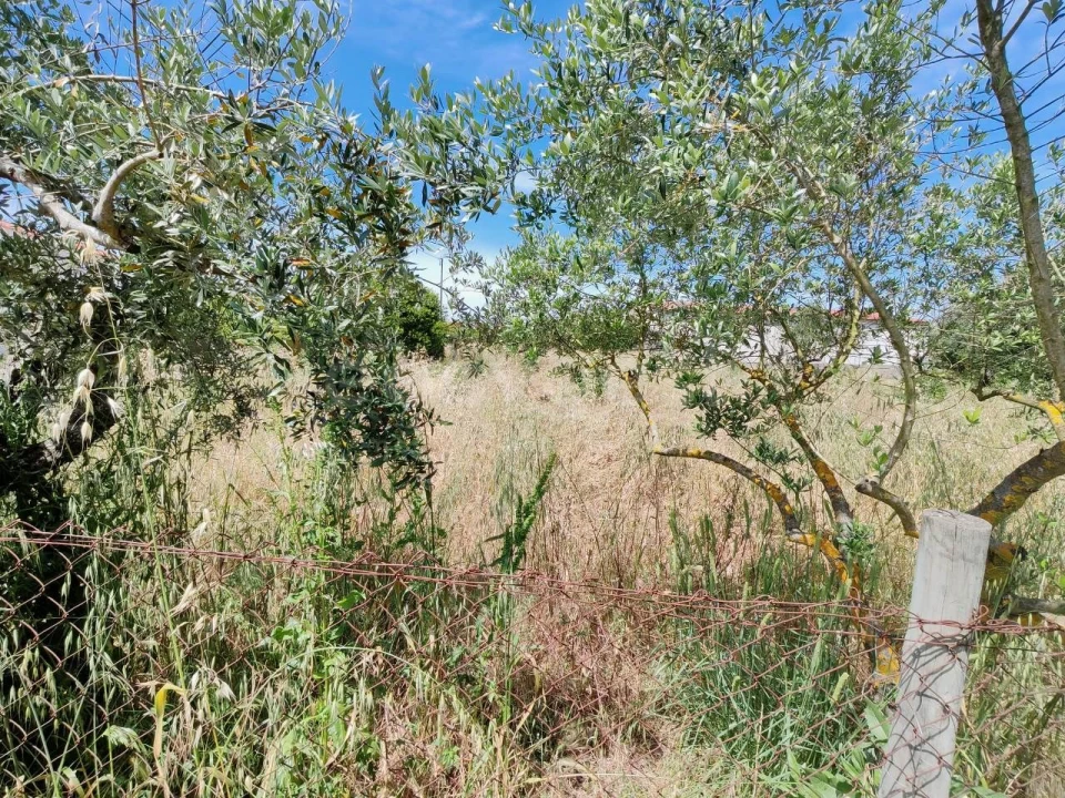 Terreno para Venda em Paialvo Foto 4