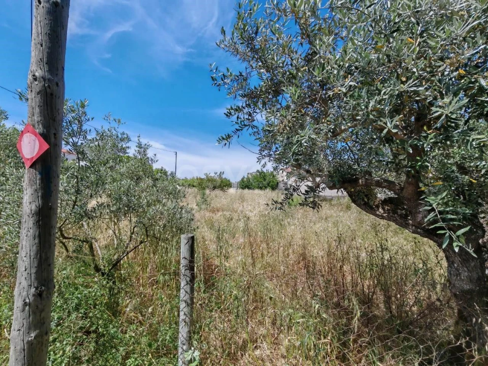 Terreno para Venda em Paialvo Foto 7