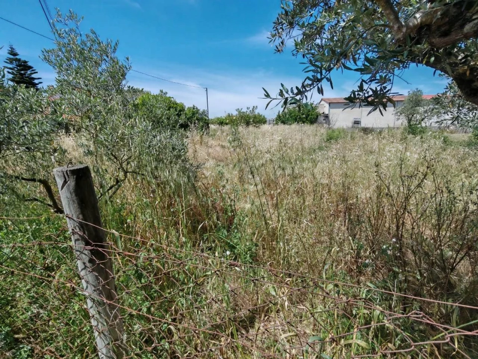 Terreno para Venda em Paialvo Foto 9