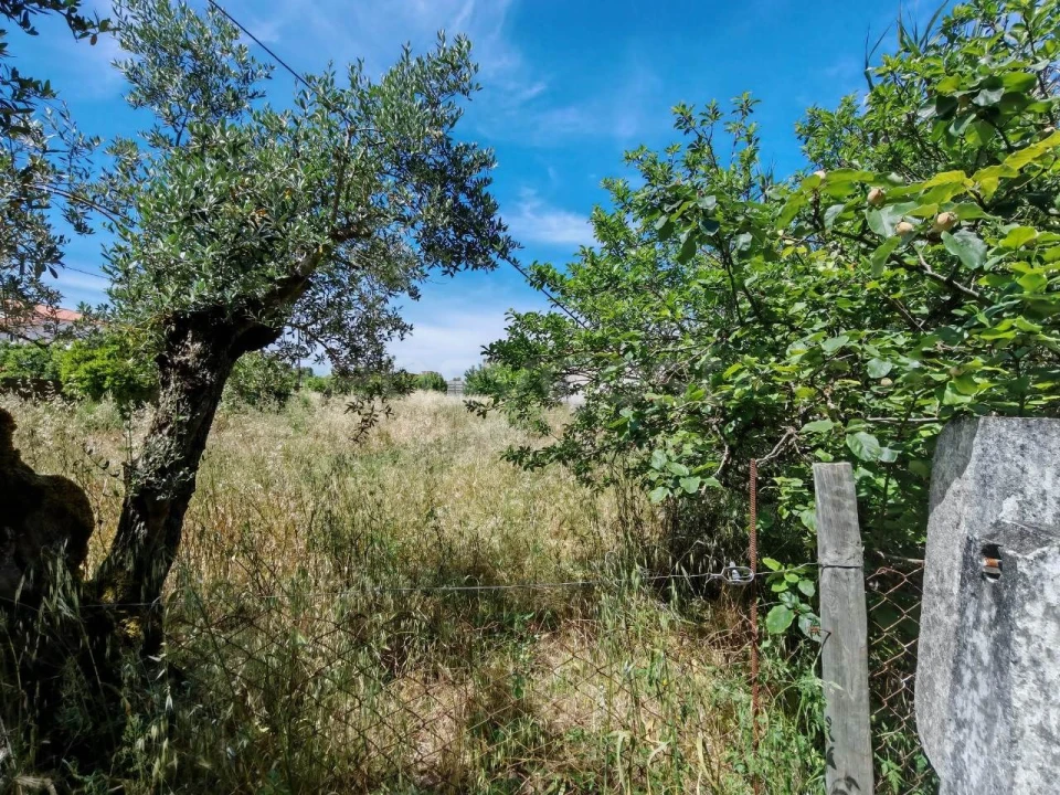 Terreno para Venda em Paialvo Foto 10