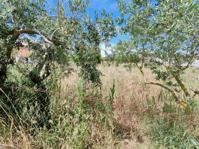 Terreno para Venda em Paialvo Foto 5