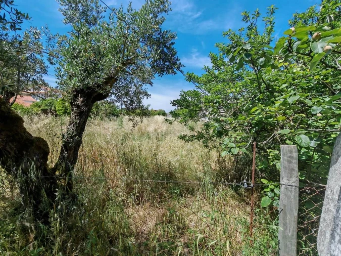 Terreno para Venda em Paialvo Foto 6