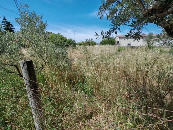 Terreno para Venda em Paialvo Foto 9