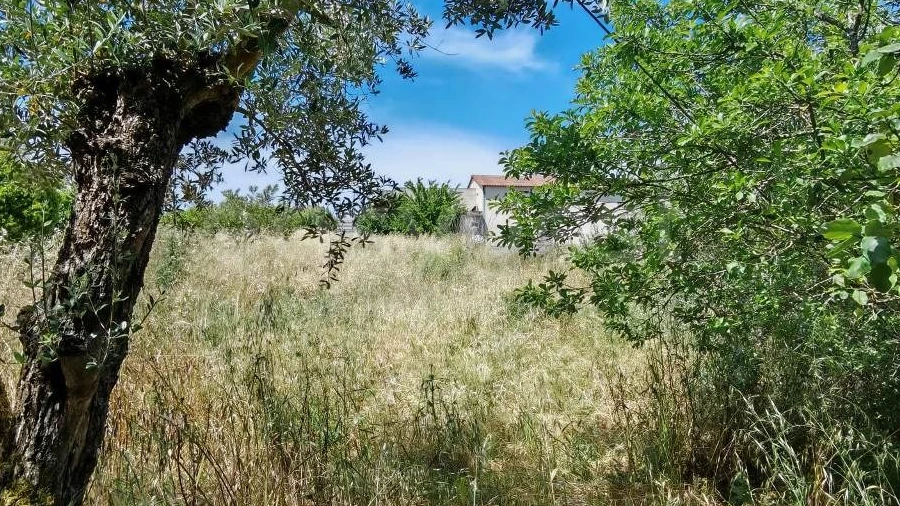 Terreno para Venda em Paialvo