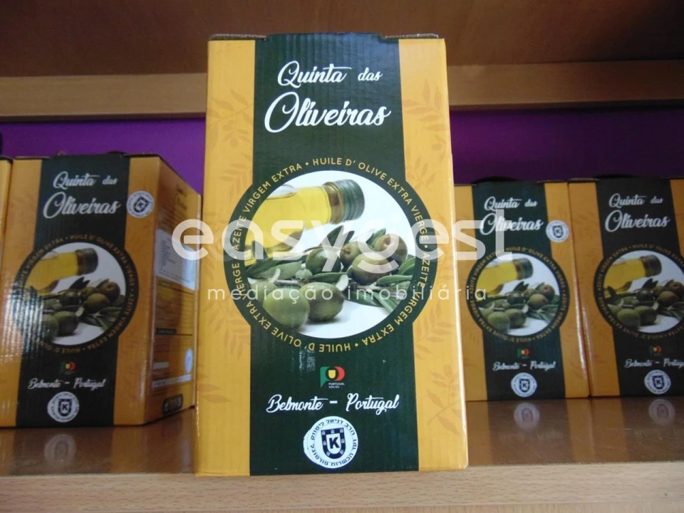 Terreno para Venda em Belmonte e Colmeal da Torre Foto 2