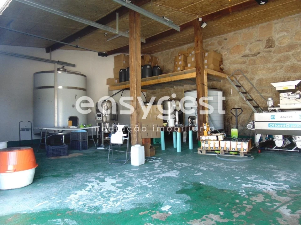 Terreno para Venda em Belmonte e Colmeal da Torre Foto 47