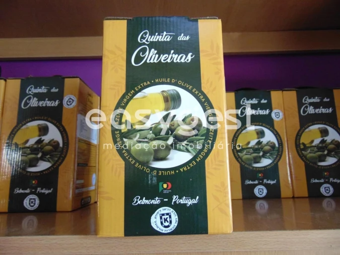 Terreno para Venda em Belmonte e Colmeal da Torre Foto 2