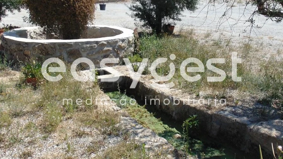 Terreno para Venda em Belmonte e Colmeal da Torre