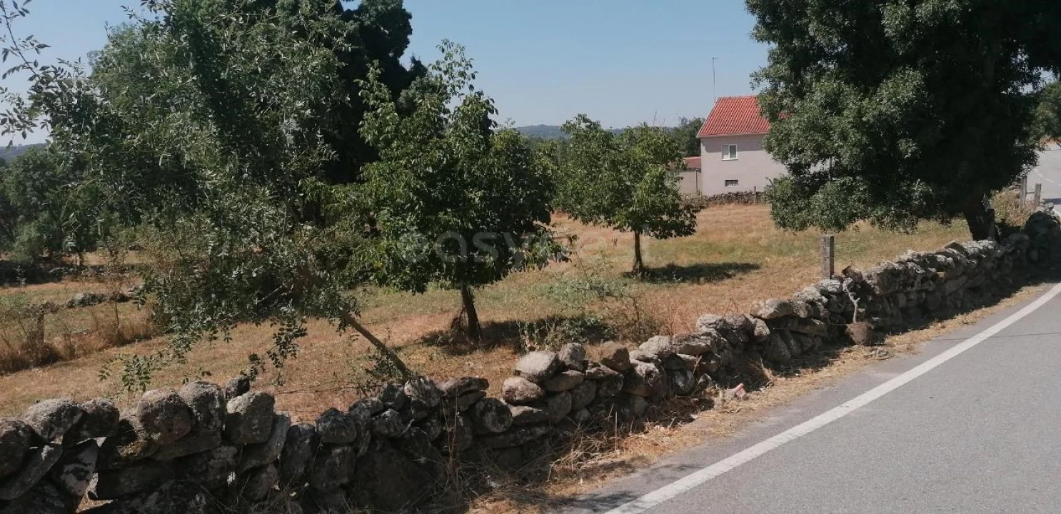 Terreno para Venda em Jarmelo São Miguel Foto 3