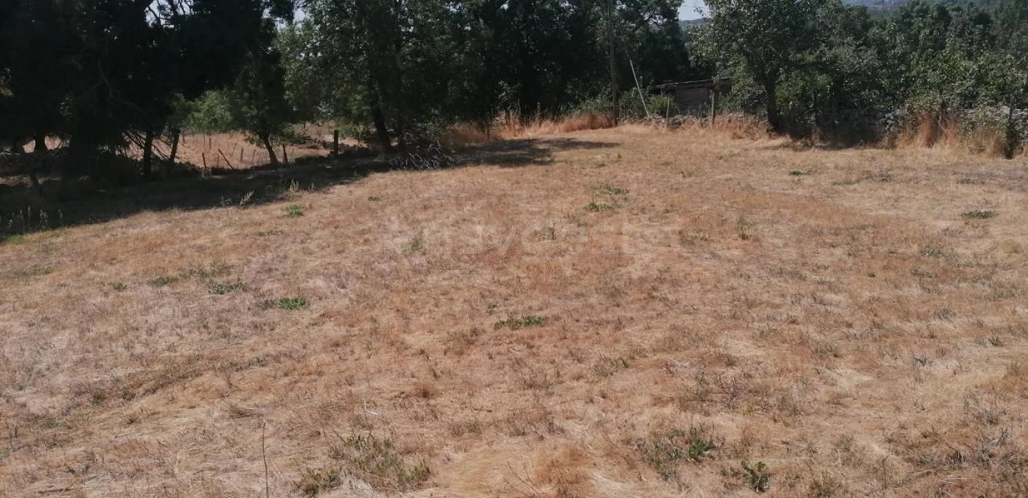 Terreno para Venda em Jarmelo São Miguel Foto 6