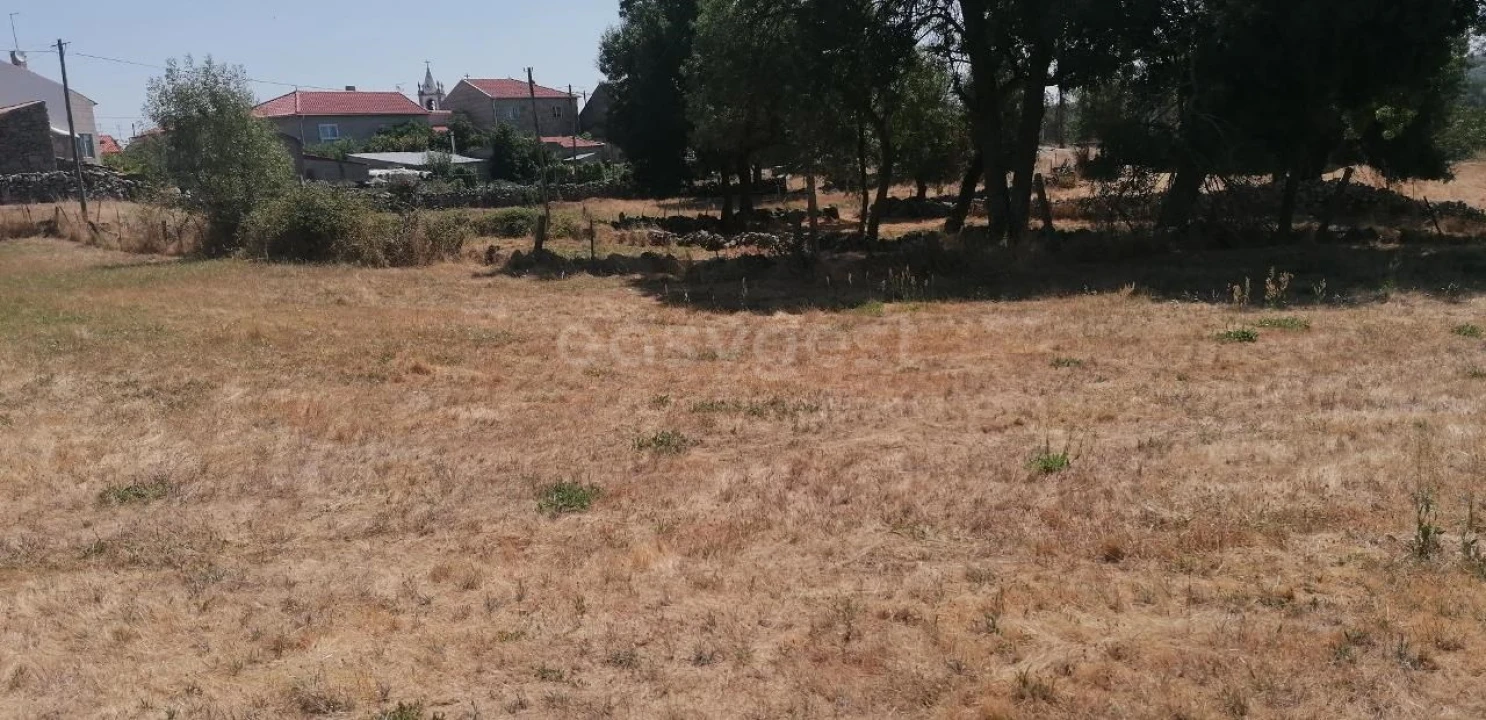Terreno para Venda em Jarmelo São Miguel Foto 7