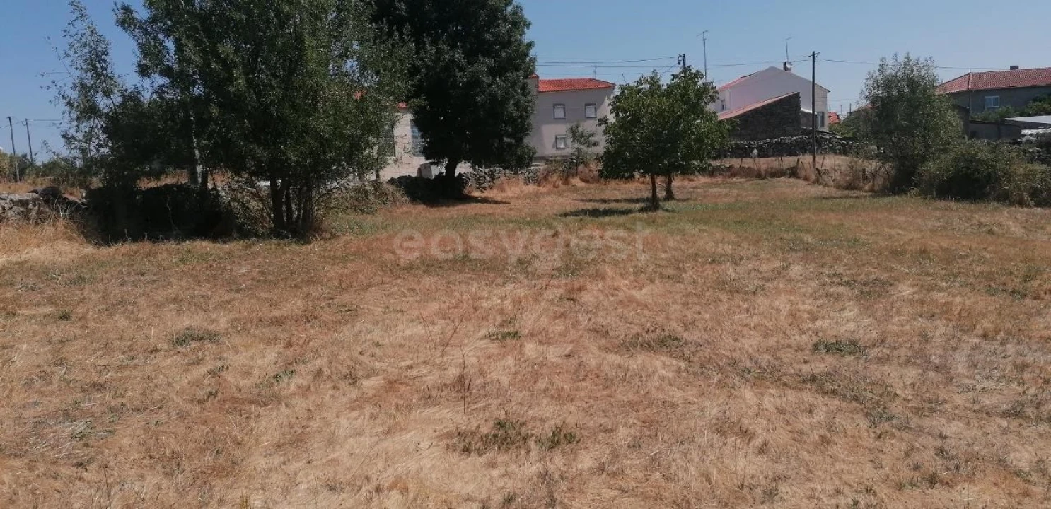 Terreno para Venda em Jarmelo São Miguel Foto 8