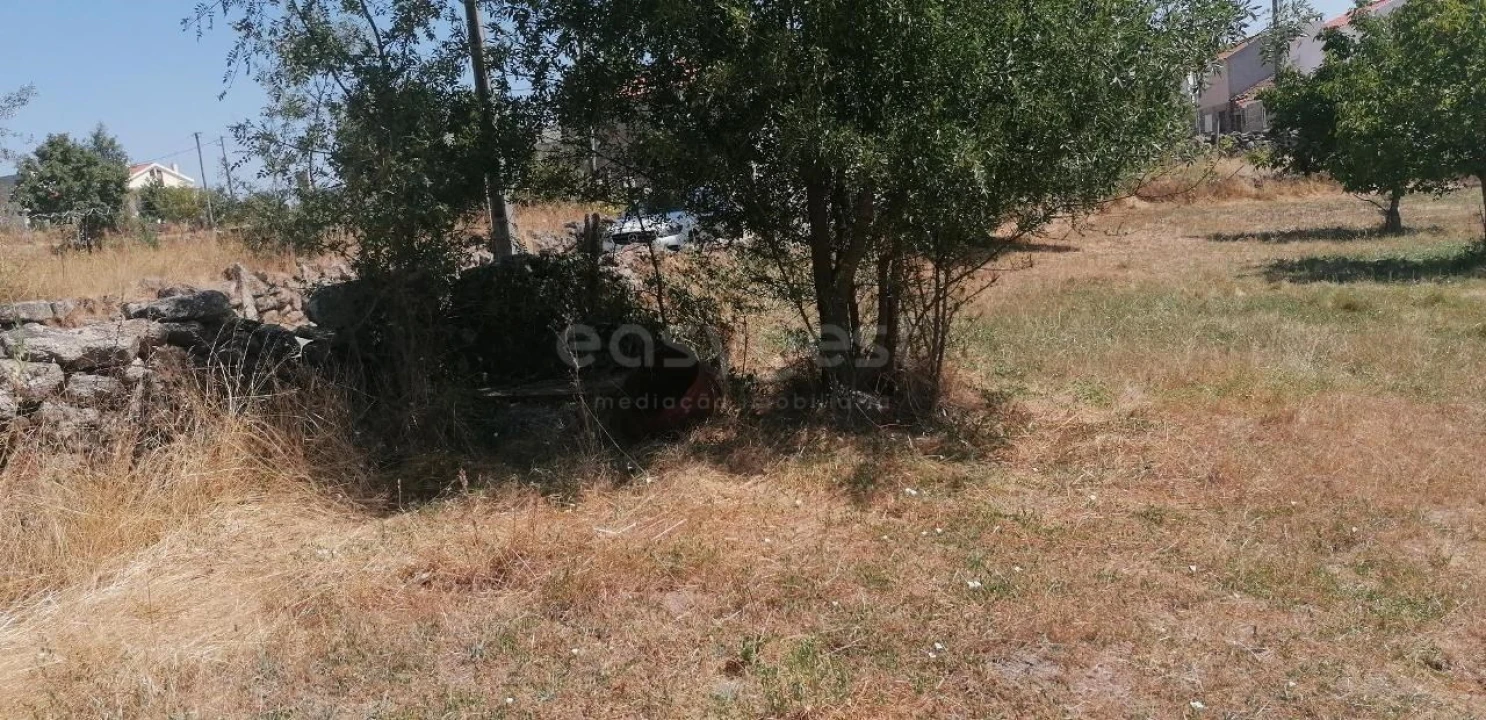 Terreno para Venda em Jarmelo São Miguel Foto 9