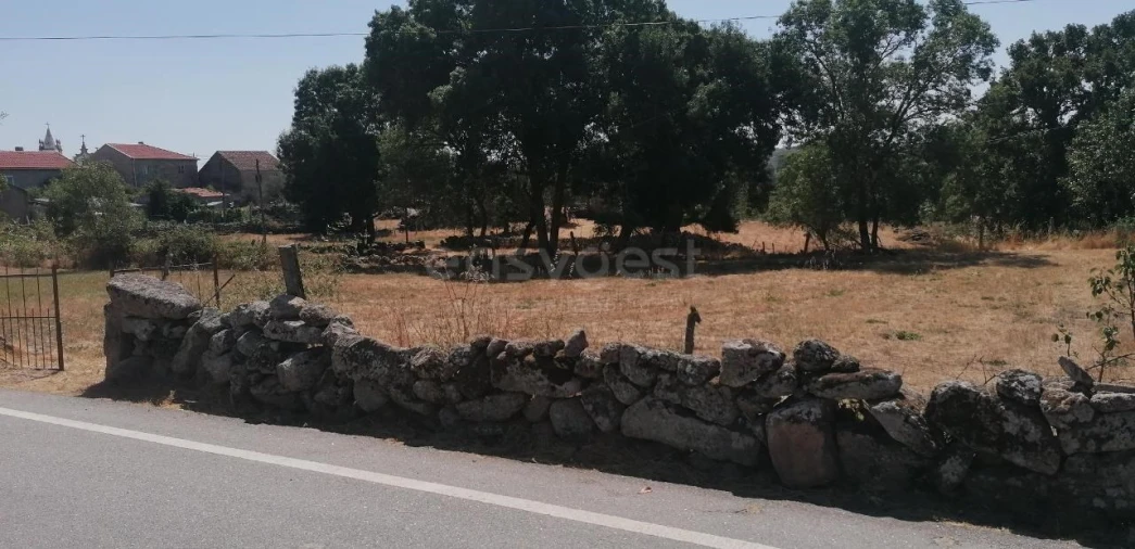 Terreno para Venda em Jarmelo São Miguel Foto 1