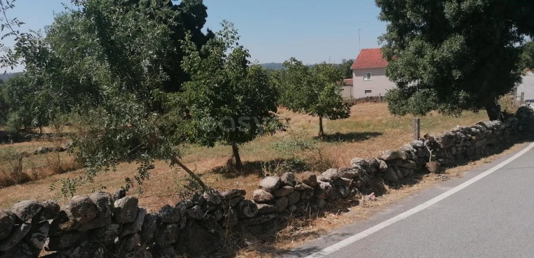 Terreno para Venda em Jarmelo São Miguel Foto 3