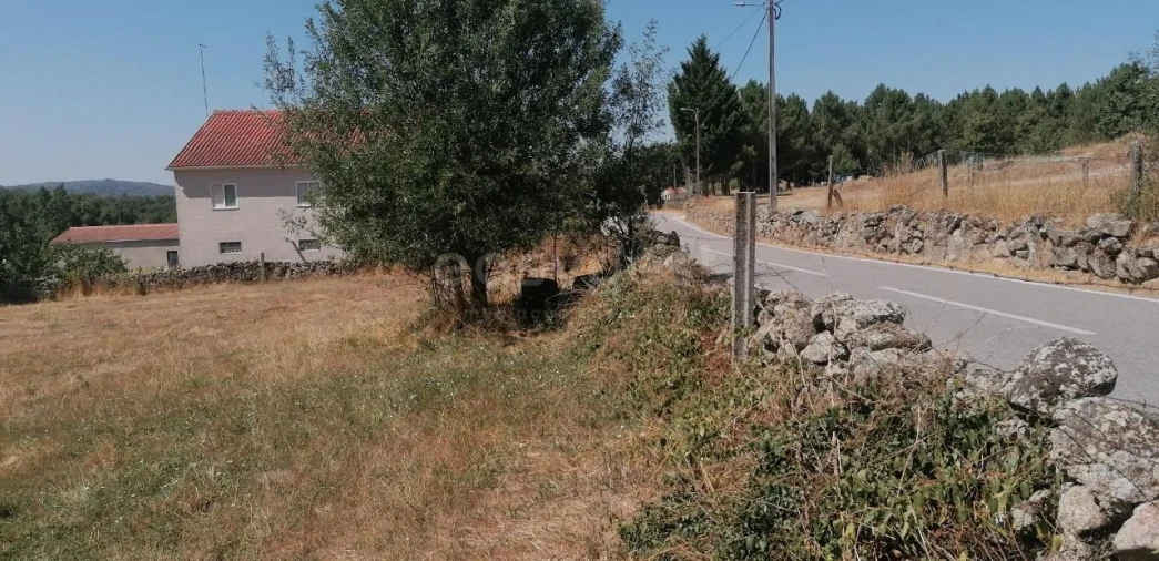 Terreno para Venda em Jarmelo São Miguel Foto 12