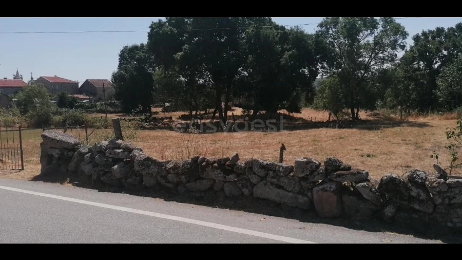 Terreno para Venda em Jarmelo São Miguel