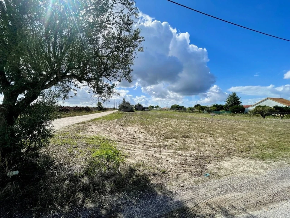 Terreno para Venda em Pegões Foto 3