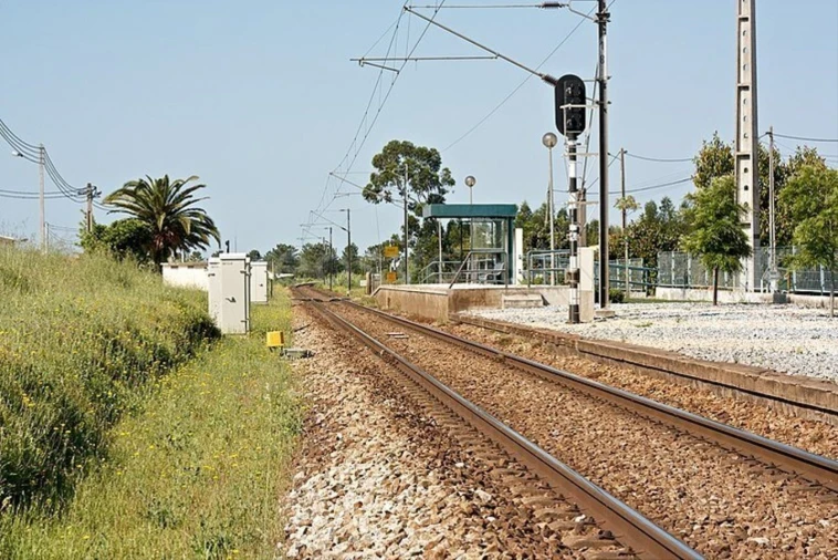 Terreno para Venda em Pegões Foto 5