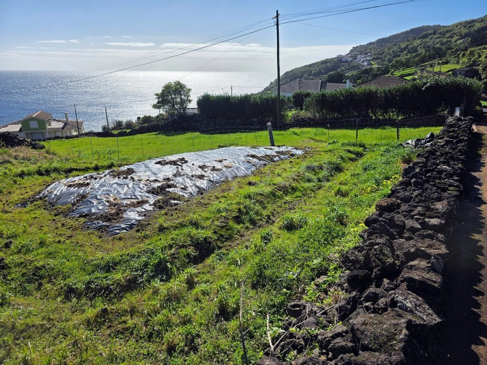 Terreno para Venda em Ribeiras Foto 8