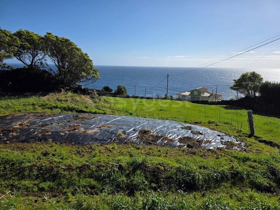Terreno para Venda em Ribeiras Foto 10