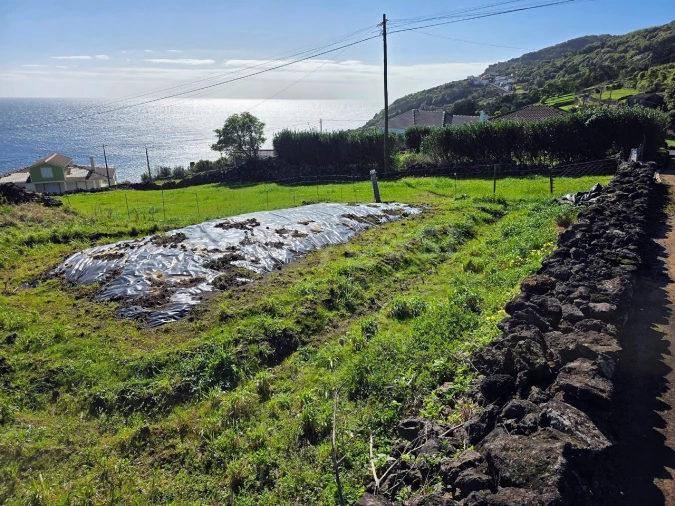 Terreno para Venda em Ribeiras Foto 8