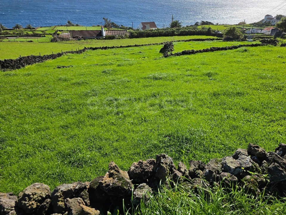 Terreno para Venda em Ribeiras Foto 3