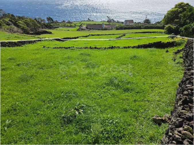 Terreno para Venda em Ribeiras Foto 5