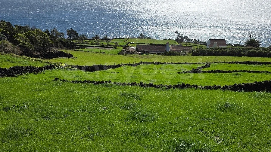 Terreno para Venda em Ribeiras