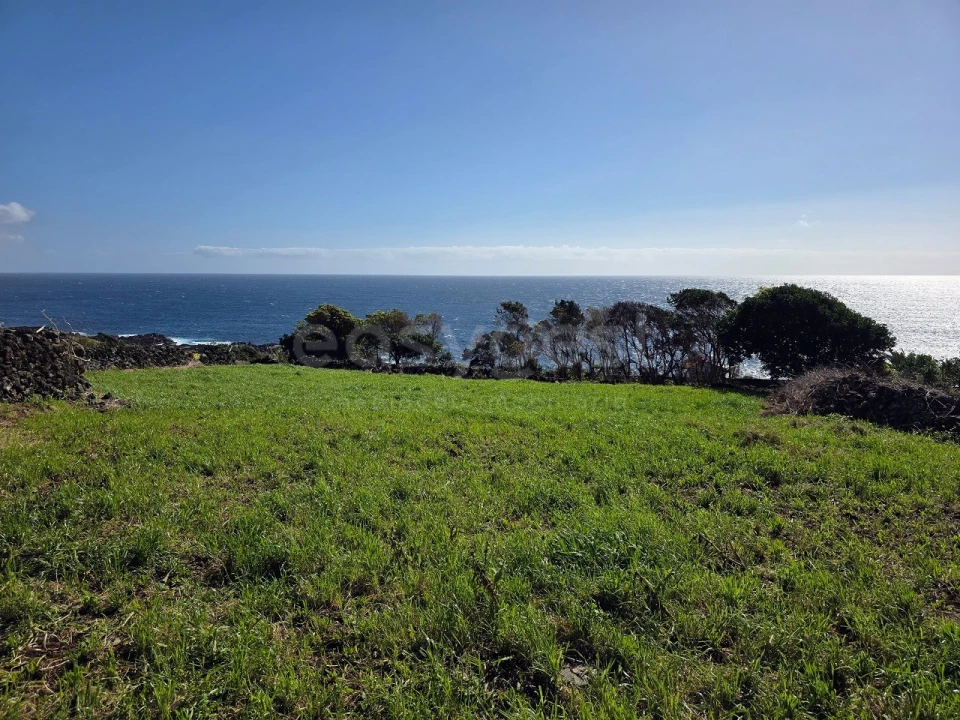 Terreno para Venda em Lajes do Pico Foto 1