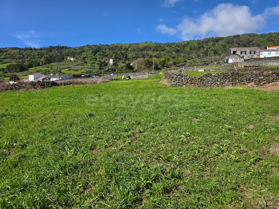 Terreno para Venda em Lajes do Pico Foto 4