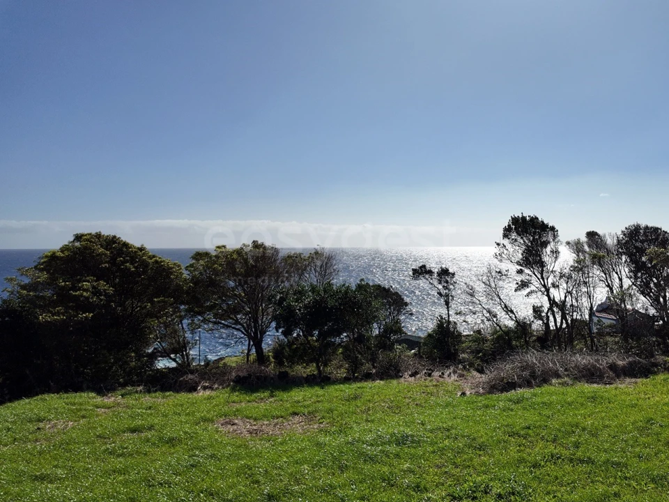 Terreno para Venda em Lajes do Pico Foto 6