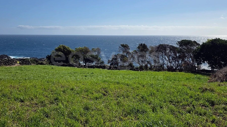 Terreno para Venda em Lajes do Pico