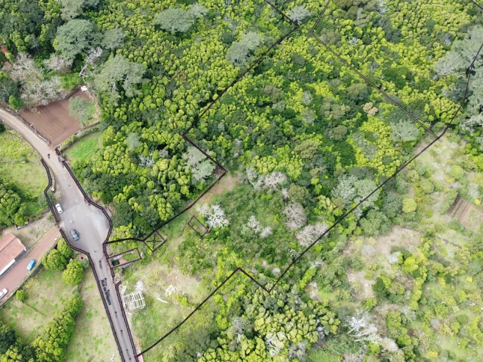 Moradia T1 para Venda em Santo Antonio Foto 4