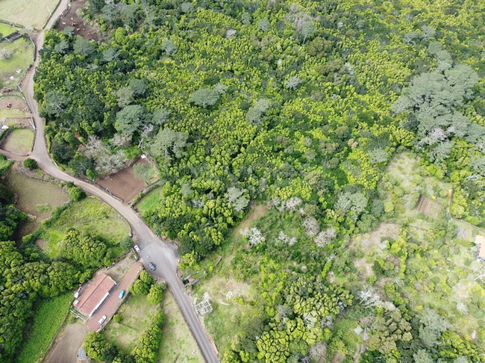 Moradia T1 para Venda em Santo Antonio Foto 6