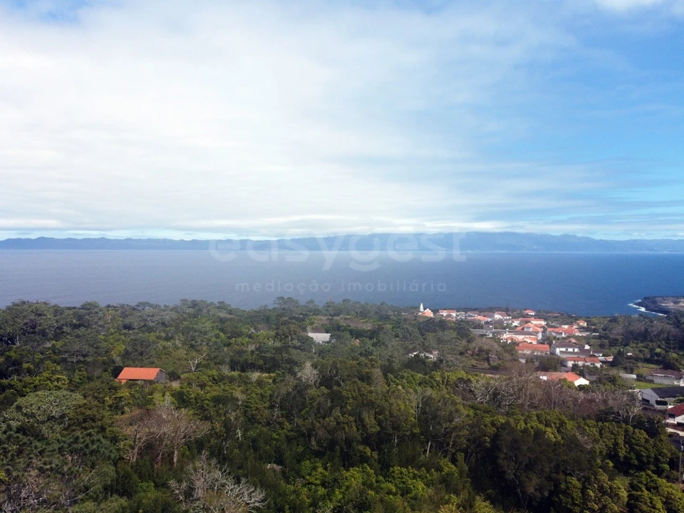 Moradia T1 para Venda em Santo Antonio Foto 9