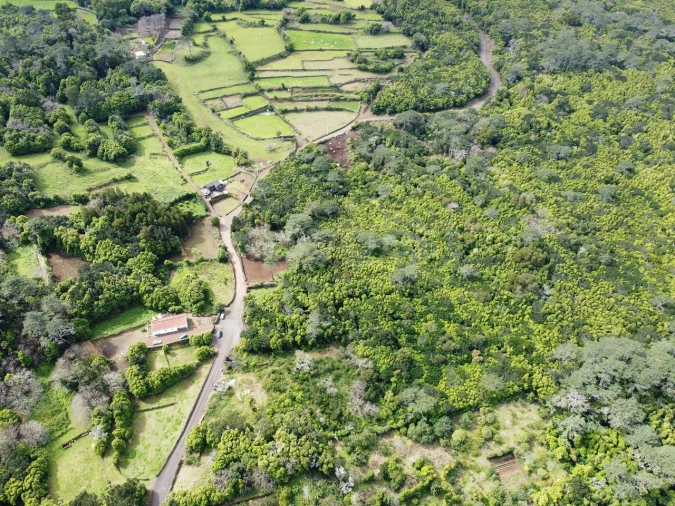 Moradia T1 para Venda em Santo Antonio Foto 3