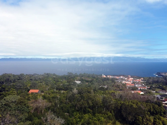 Moradia T1 para Venda em Santo Antonio Foto 9