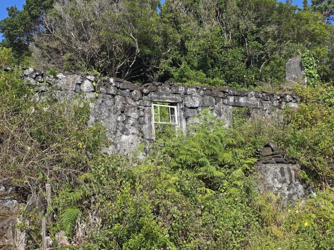 Moradia T1 para Venda em Santo Antonio Foto 9