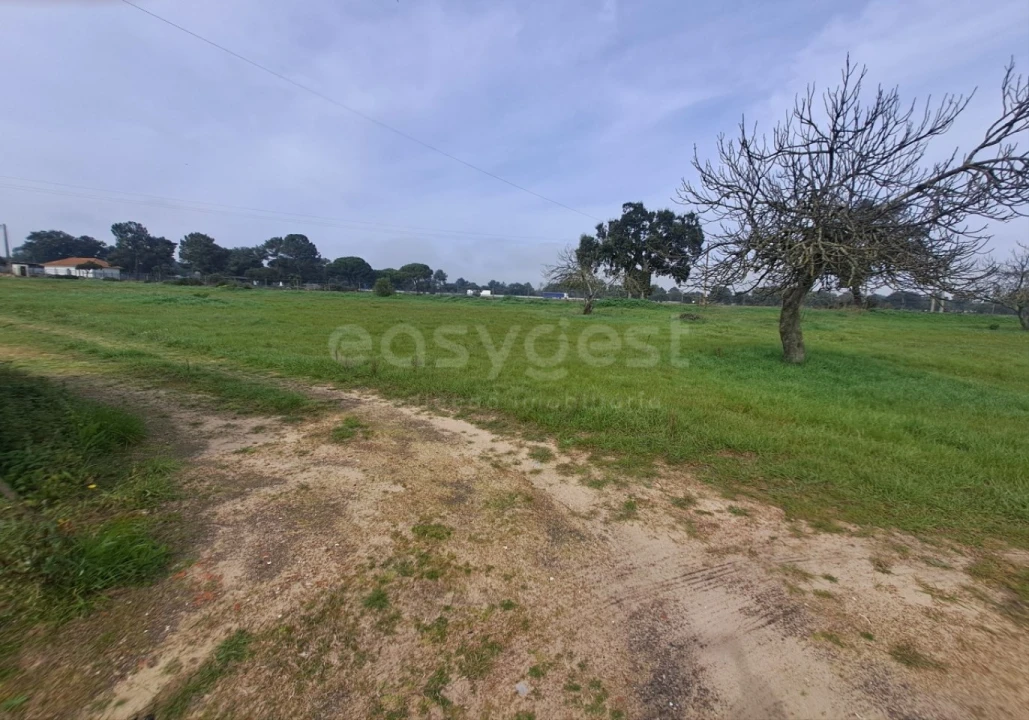 Terreno para Venda em Alhos Vedros Foto 14