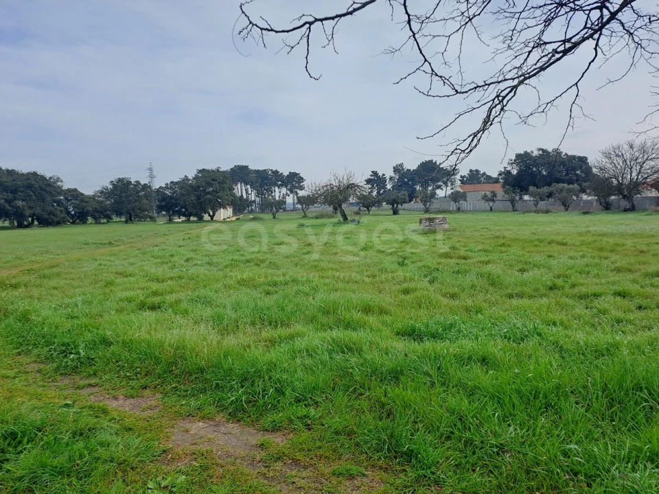 Terreno para Venda em Alhos Vedros Foto 17