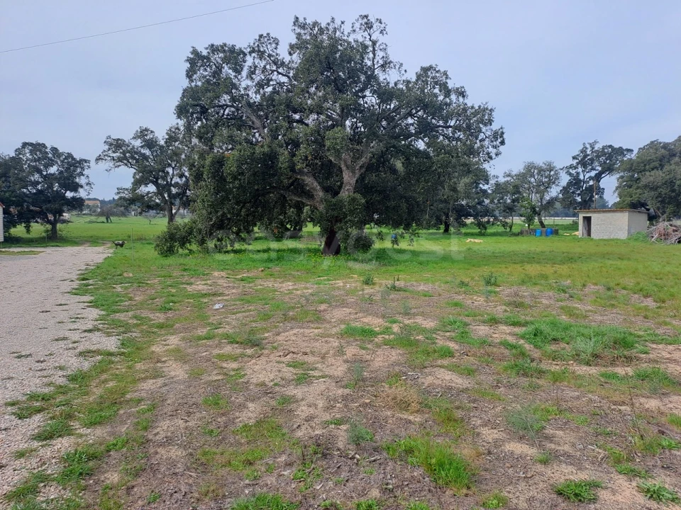 Terreno para Venda em Alhos Vedros Foto 22
